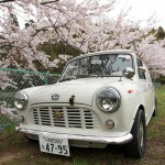 もうすぐ桜の季節がやってきます。
