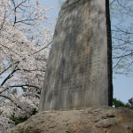 （桜特集）鶴ヶ城の桜見