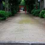 新緑の三島八幡神社（武芸・学問の神社）
