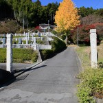福満山・梅林寺にも大きな銀杏の木を発見！