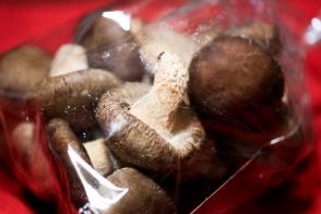 20101121_goldshiitake-9.jpg